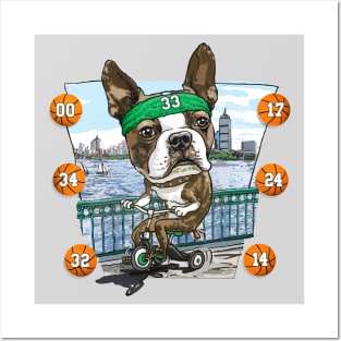 Boston Terrier Dog with Green Basketball Headband Posters and Art